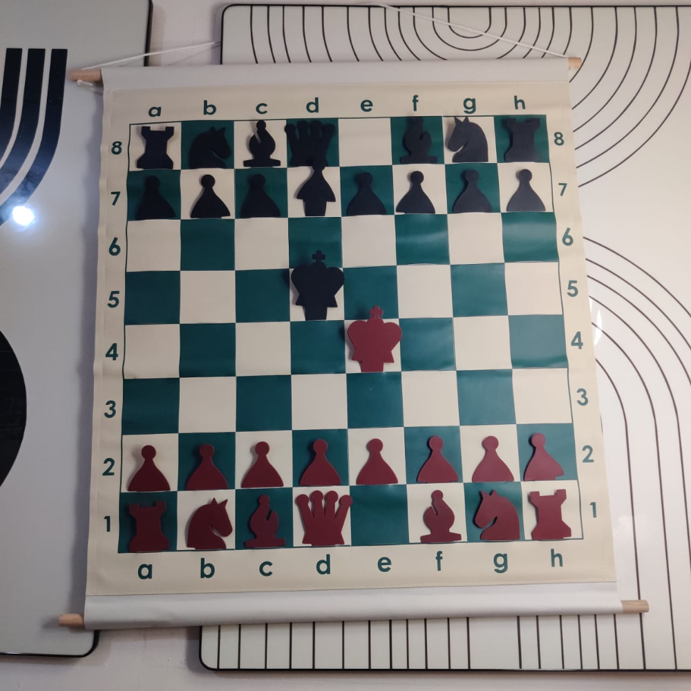 28" Slotted-Style Vinyl Demonstration (Teaching) Board Set with Deluxe Carrying Bag